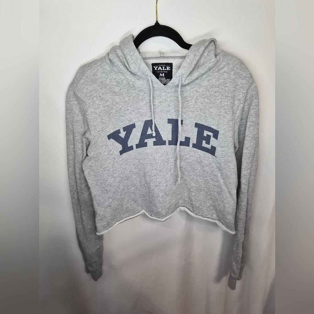 Gray Cropped Hoodie